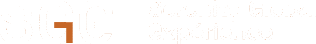 Version 2000 logo me