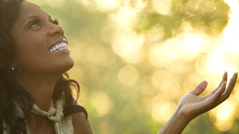 Version 800 image demo (5)